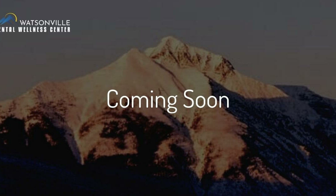 Our Blog Is Coming Soon
